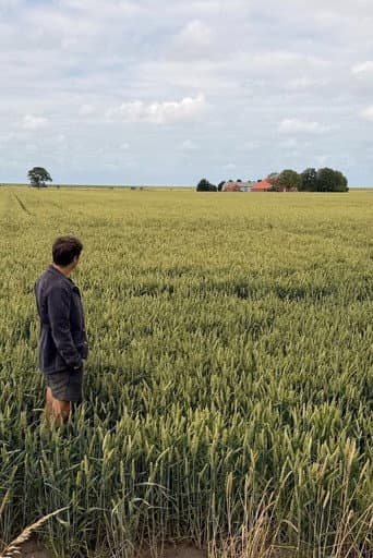 Vaderland: in het spoor van Ede Staal