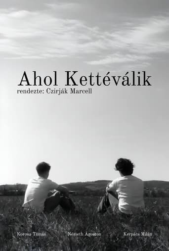 Ahol Kettéválik