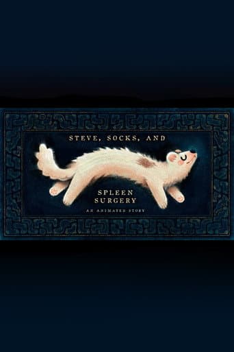 Steve, Socks, and Spleen Surgery