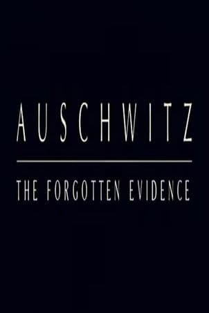Auschwitz: The Forgotten Evidence