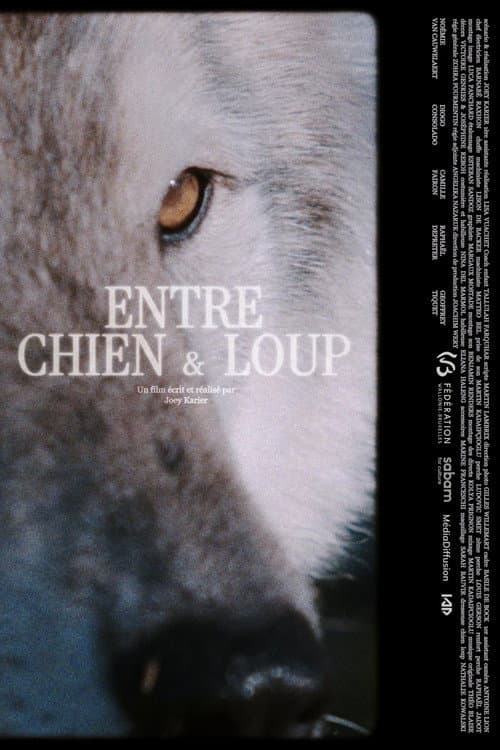 ENTRE CHIEN & LOUP