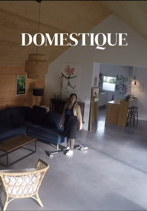 Domestique