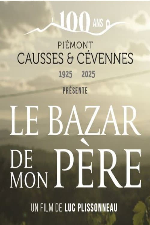 Le Bazar de mon père