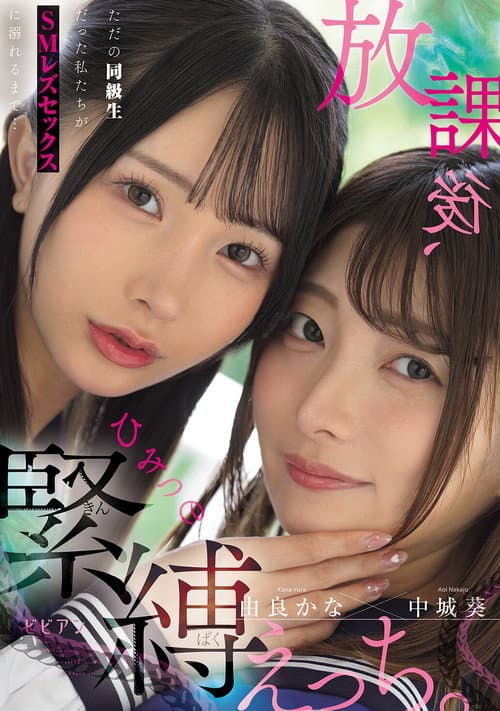 Houkago, himitsu no kinbaku ecchi. Tada no doukyuusei datta watashitachi ga SM rezu sekkusu ni oboreru made…