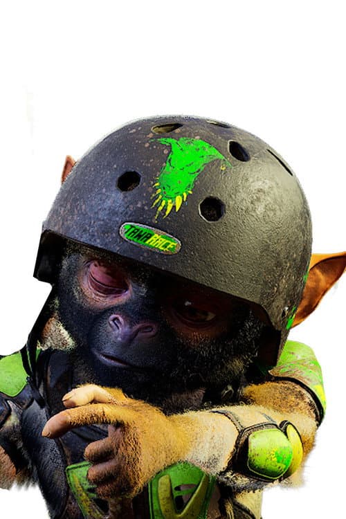Tim