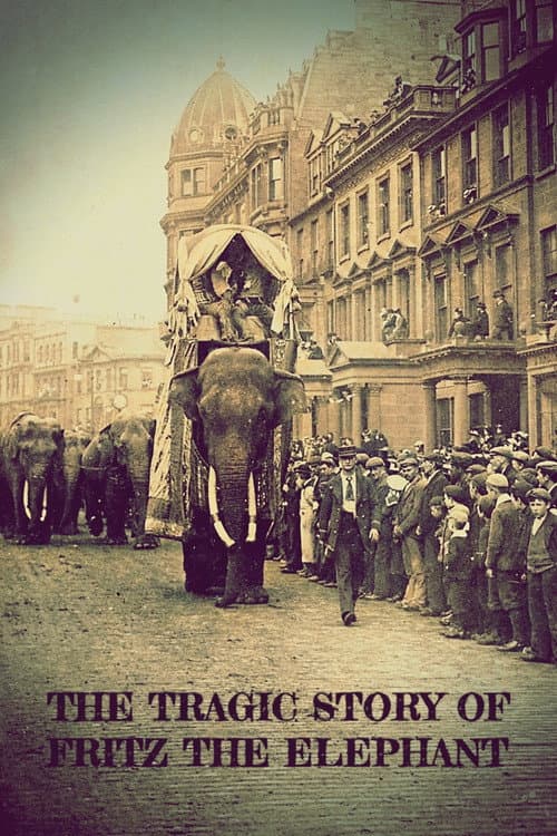 The Tragic Story of Fritz the Elephant