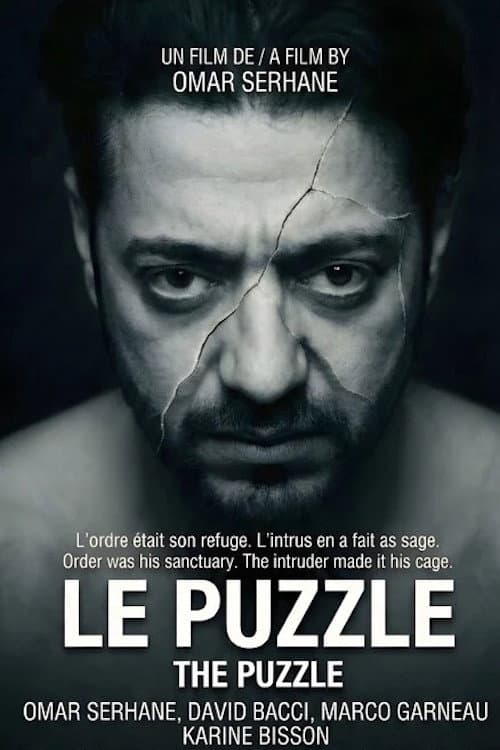 The Puzzle