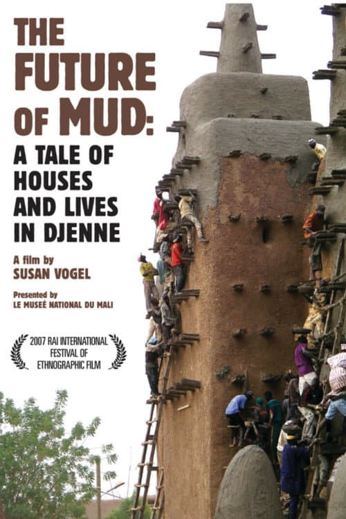The Future of Mud:  A Tale of Houses and Lives in Djenne