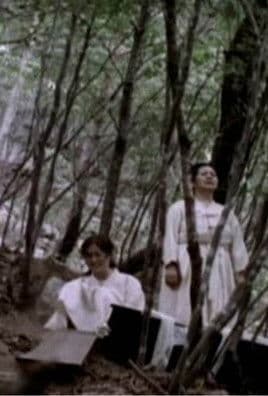 To The Spring Mountain