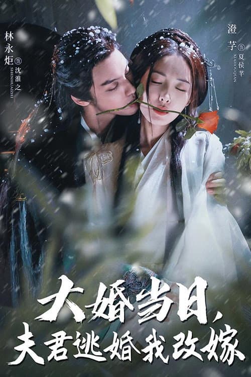 大婚当日夫君逃婚我改嫁