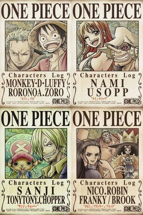 One Piece Characters Log