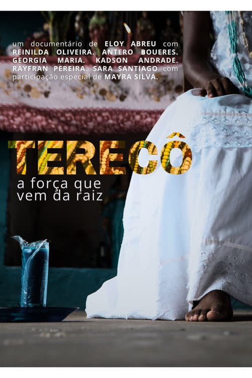 Terecô: a força que vem da raiz