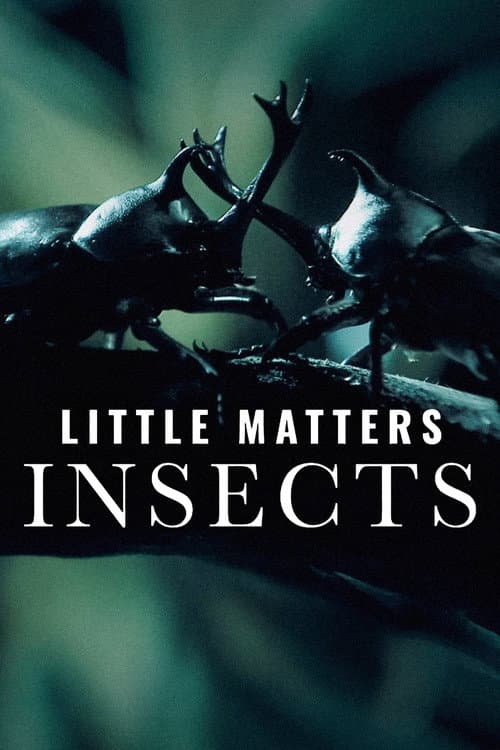 Little Matters: Insects