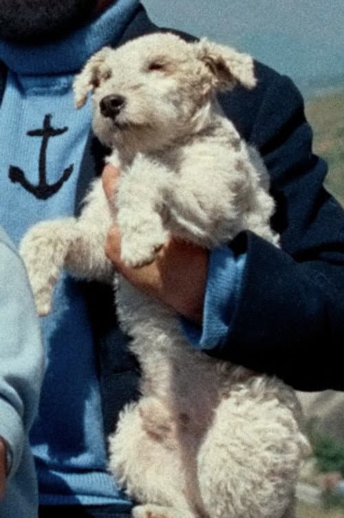 Milo