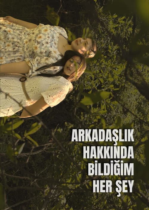 Arkadaşlık Hakkında Bildiğim Her Şey