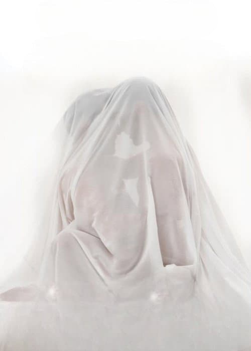 Carpanzano's LGBTQIA+ Collection