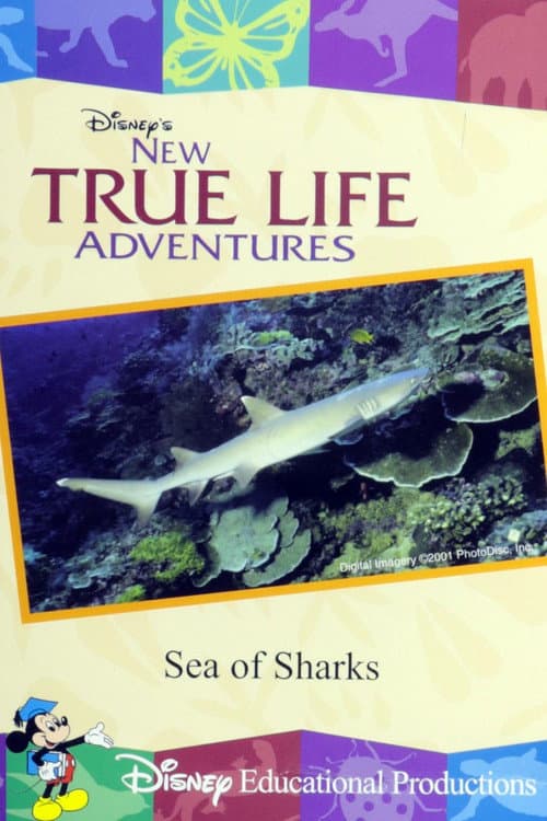 Sea of Sharks