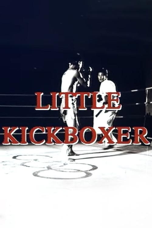 Thunder Ninja Kids: Little Kickboxer