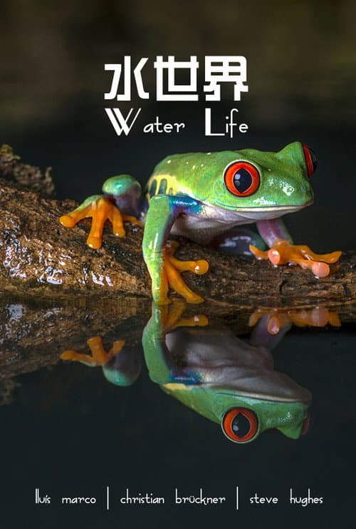 Water Life A World of Water