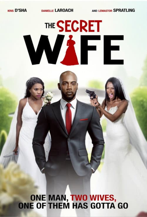 The Secret Wife