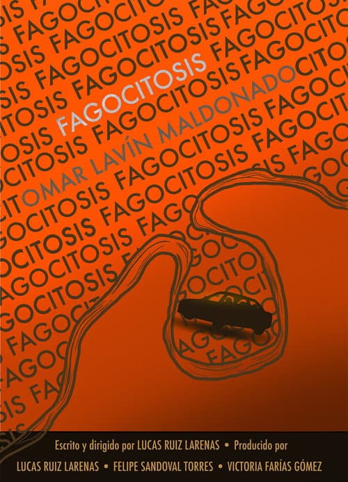 Fagocitosis