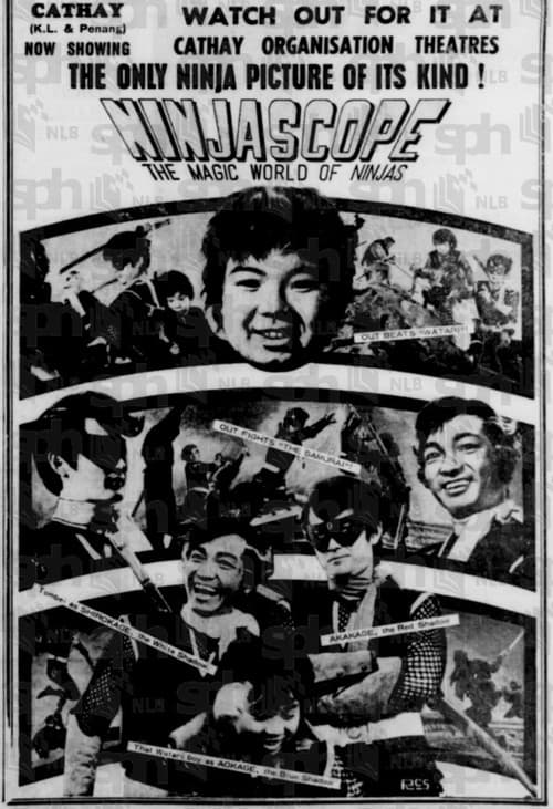 Ninjascope: The Magic World of Ninjas