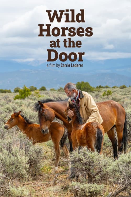 Wild Horses at the Door