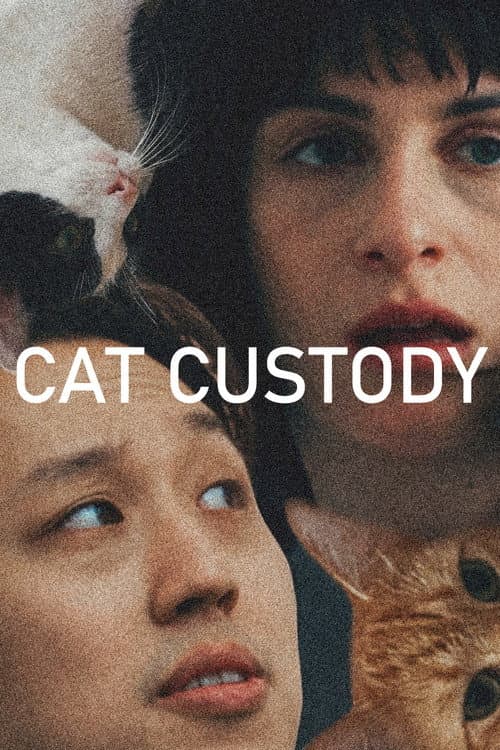 Cat Custody