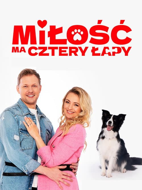 Miłość ma cztery łapy