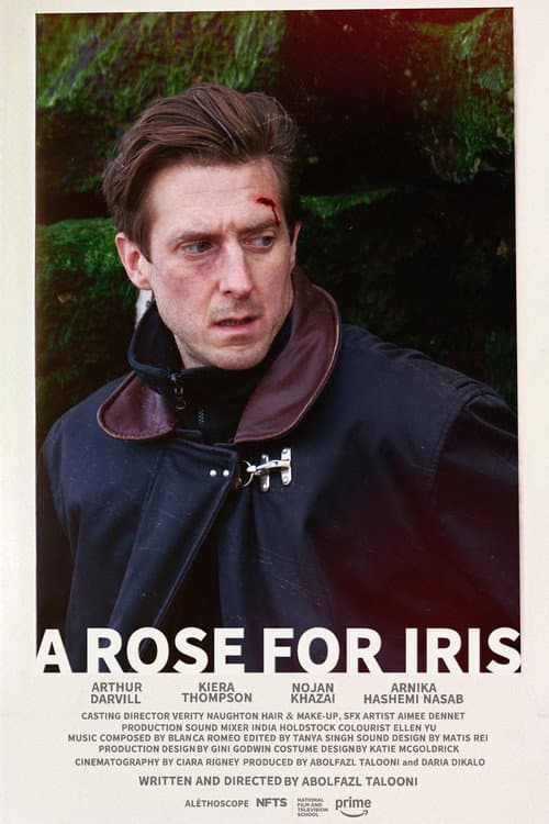 A Rose for Iris