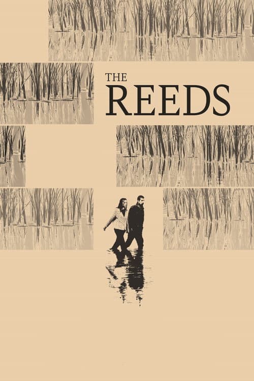 The Reeds