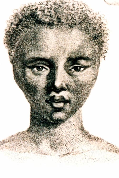 The Life and Times of Sara Baartman
