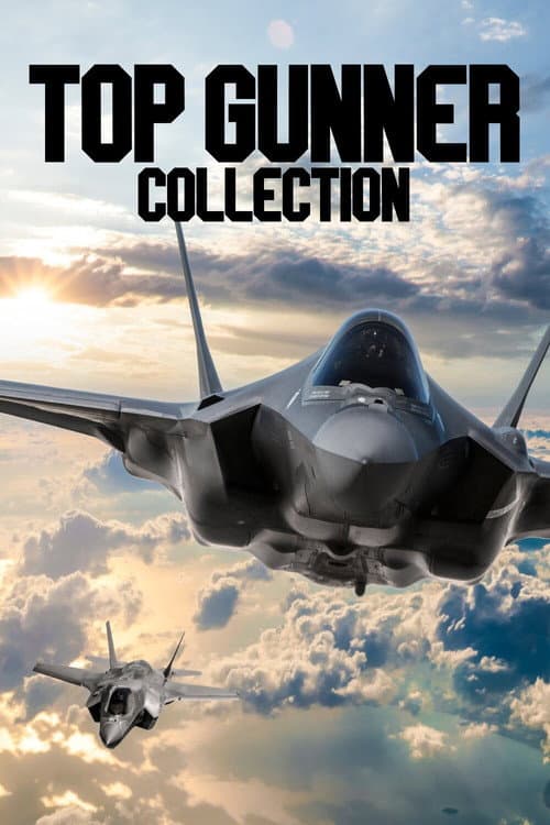 Top Gunner Collection