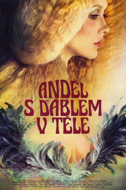 Anděl s ďáblem v těle (kolekce)