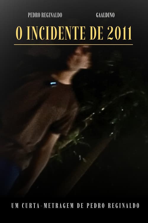 O INCIDENTE DE 2011