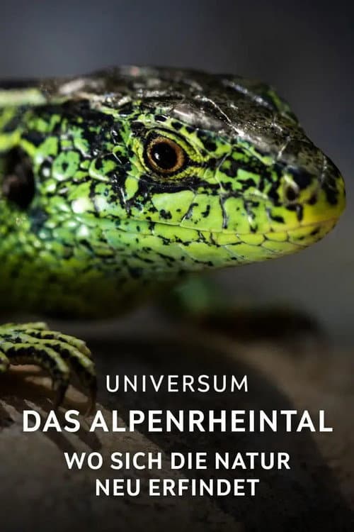 Das Alpenrheintal – Wo sich die Natur neu erfindet
