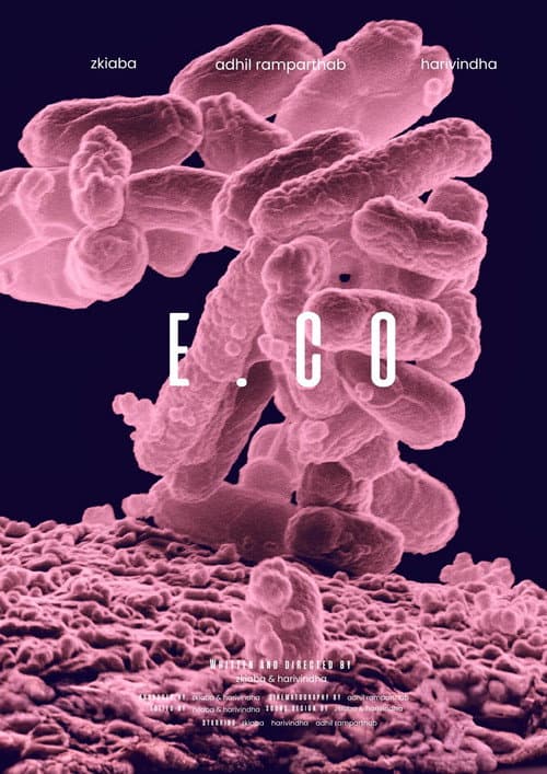 e. co