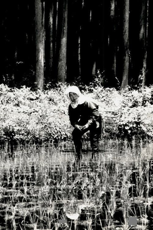 The Japanese Part 3: Farm Song