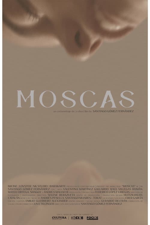 Moscas