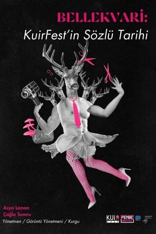 MEMORY-LIKE: An Oral History of QueerFest
