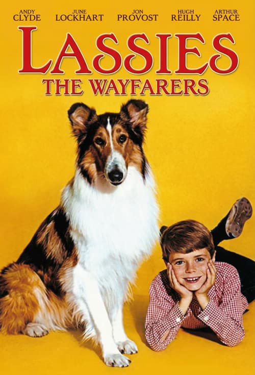 Lassie: The Wayfarers