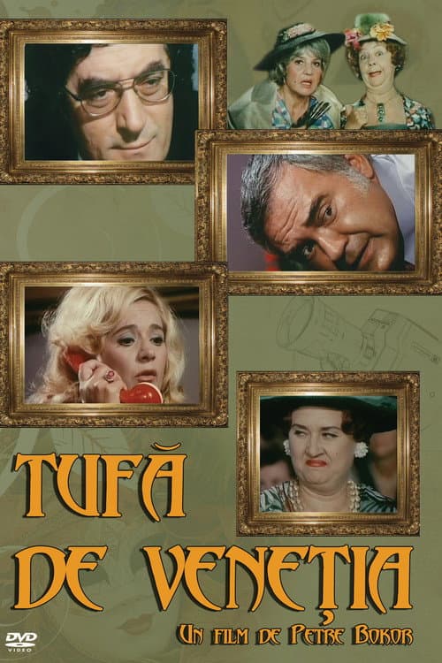 Tufă de Veneția