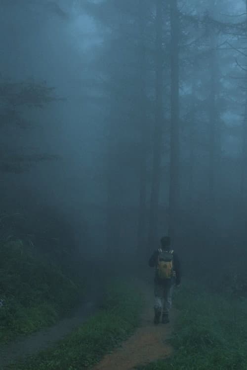 Men Wandering in the Mountain