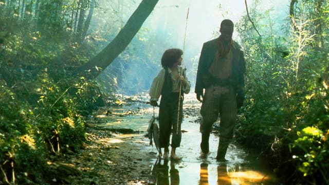 The Adventures of Huck Finn