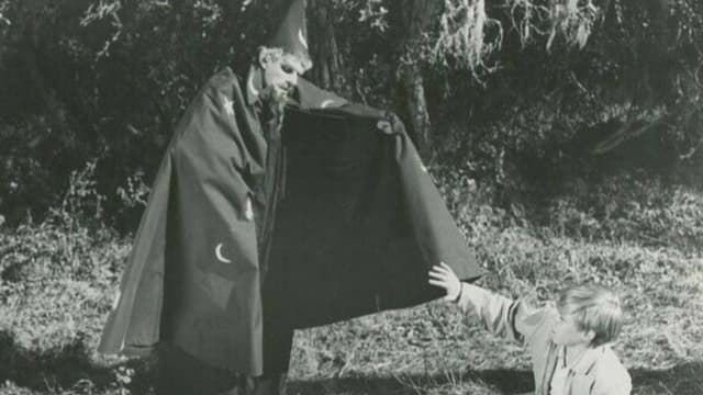 The Princess and the Magic Frog