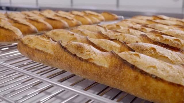 Du pain coûte que croûte