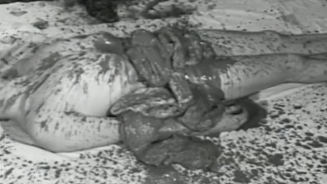 The Action Art of Hermann Nitsch from Past to Present
