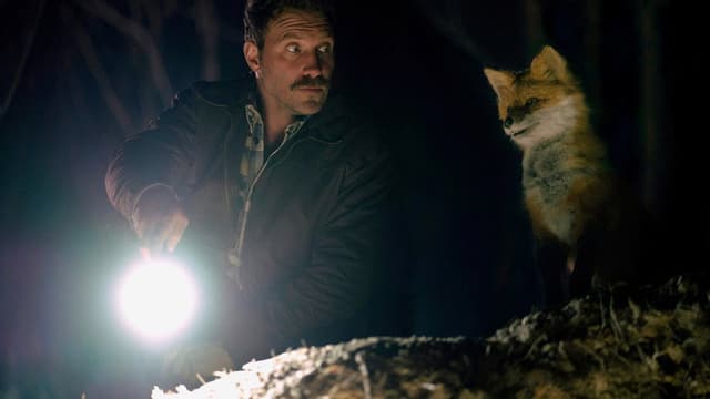 The Fox