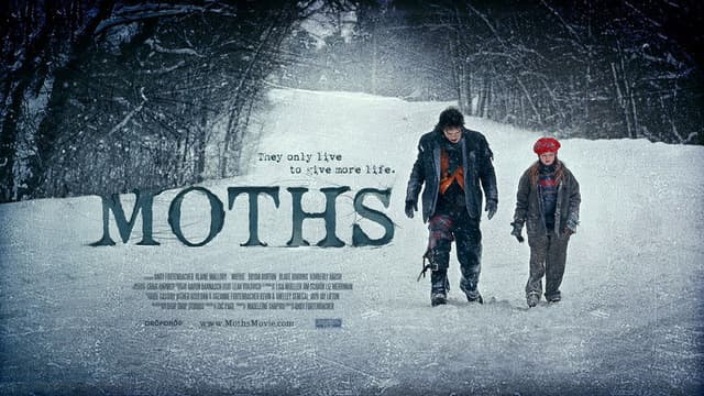 Moths