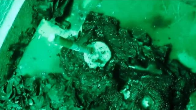 Era Locadora